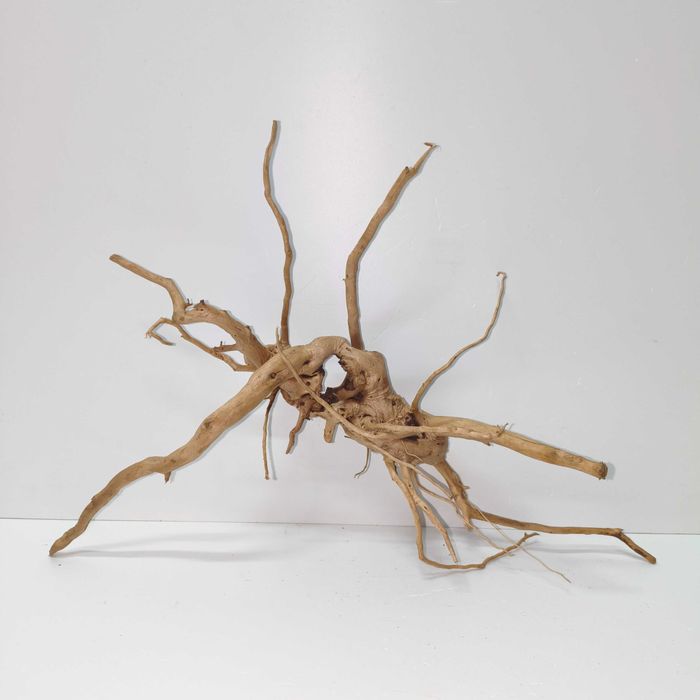 Naturalny korzeń do akwarium lub terrarium Red Moor roots