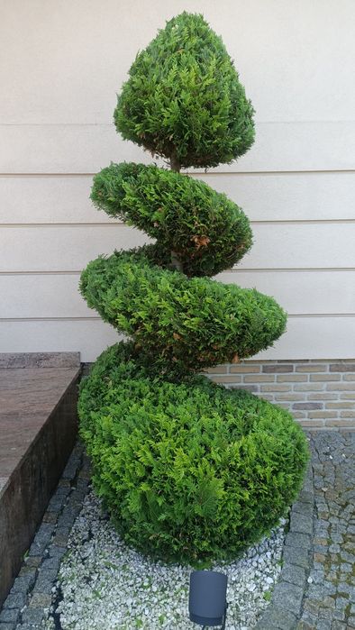 Firma Ogrodnicza "Mazurek" - Usługi ogrodnicze. Mycie kostki brukowej