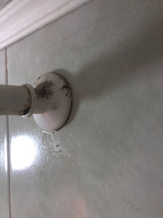 Знищення грибка , плісняви з гарантіею 3 роки. Удаление плесени грибок