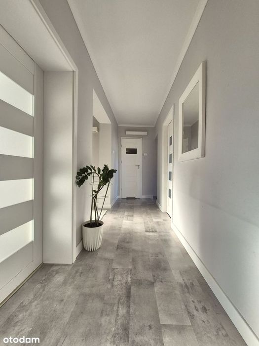 3 pokoje, sprzedaż, centrum, od zaraz - Widok 5