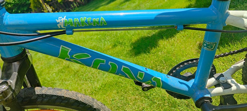 Rower dziecięcy 20 cali