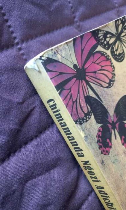 A Coisa à Volta do Teu Pescoço - Chimamanda Ngozi Adichie