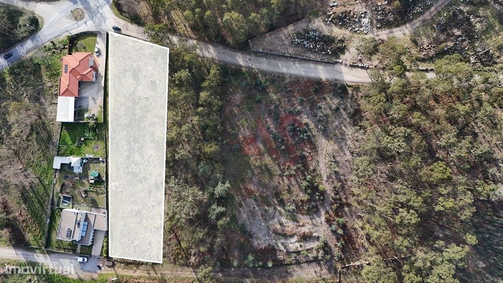 Terreno para Construção em Sanfins – 3.000 m² | Excelente Oportunidade