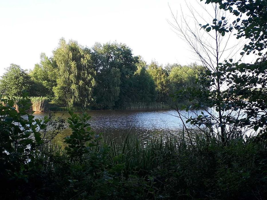 Wynajem kawalerki 25 m² – Tychy, okolice Jeziora Paprocańskiego