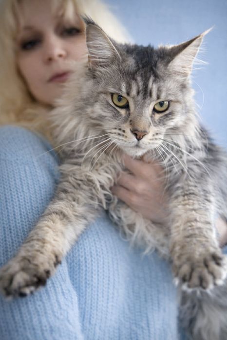 Эффектная красотка