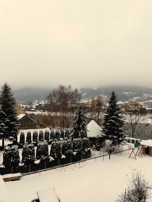 Nocleg, pokoje  -  ,,Willa u Gerwazego - Agroturystyka" - góry.