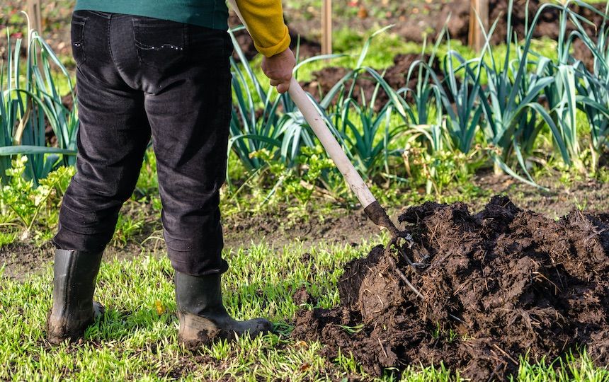 Naturalny obornik koński pod trawę dla roślin,warzyw i drzew owocowych