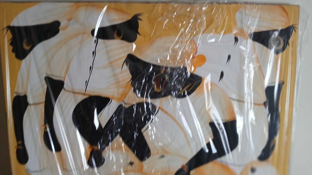 Quadro da Republica Dominicana