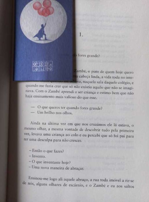 A Raridade das Coisas Banais - Pedro Chagas Freitas