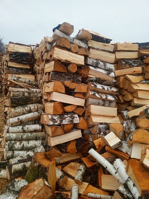 Купить дрова колоті різних порід з доставкою