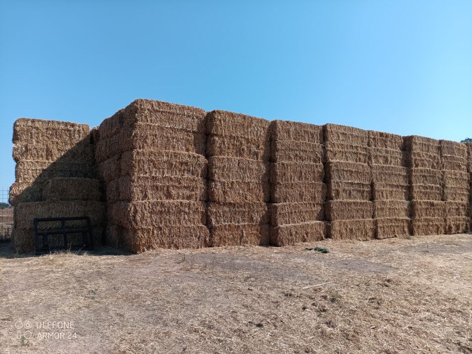 Vende-se Palha e Feno