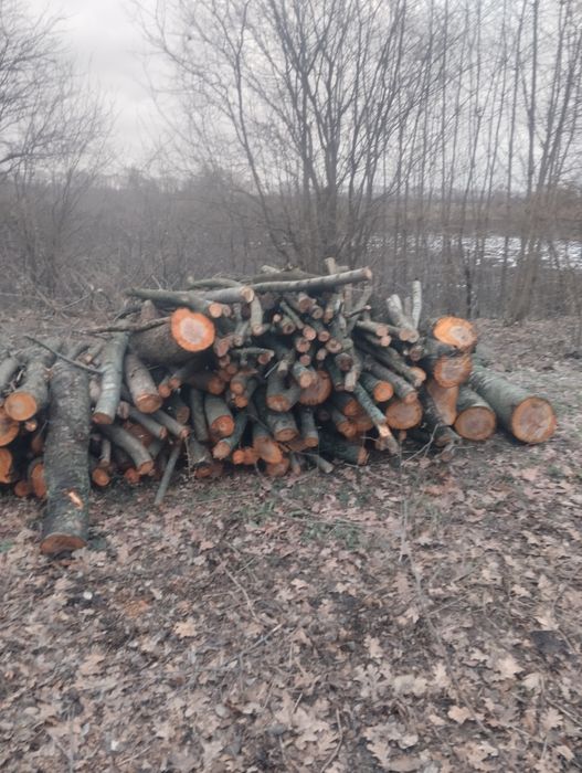 Продам дрова твердых/мешаных пород