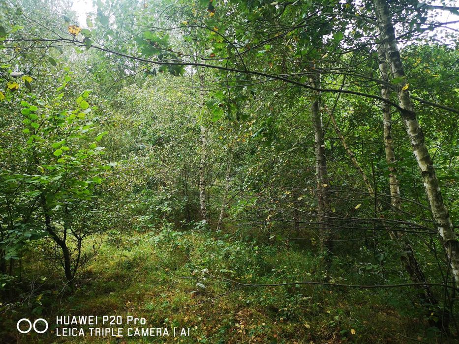 Włosań, gmina Mogilany.