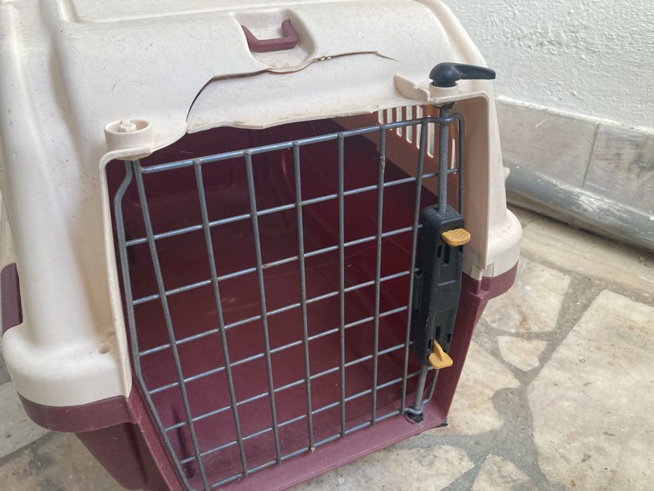 Caixa transporte gato