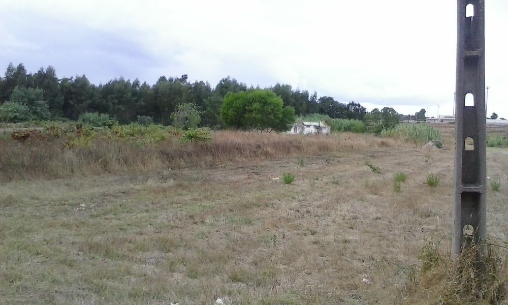 5000 m2 quinta Terreno com ruína troca ou permuta Marinhais
