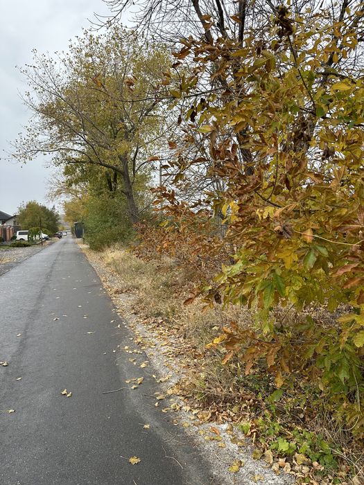 Участок под строительство, с.Новоалександровка, 2 га