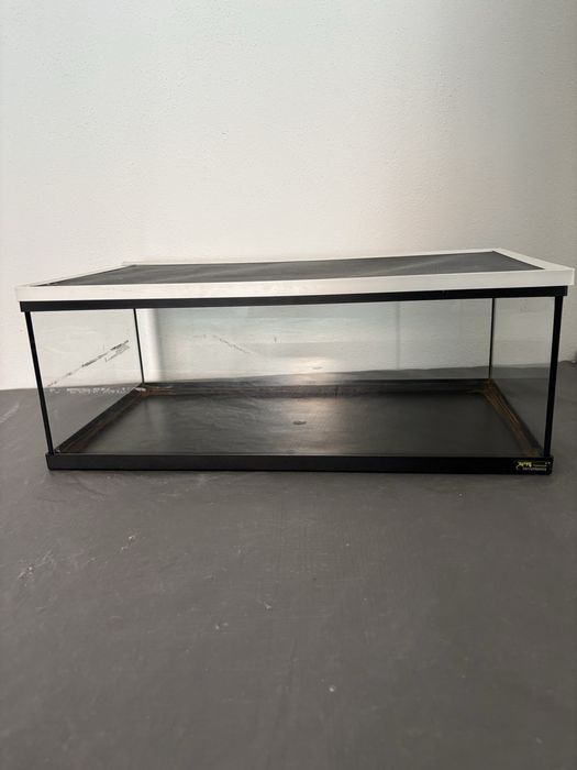 Terrario 55x30 cm