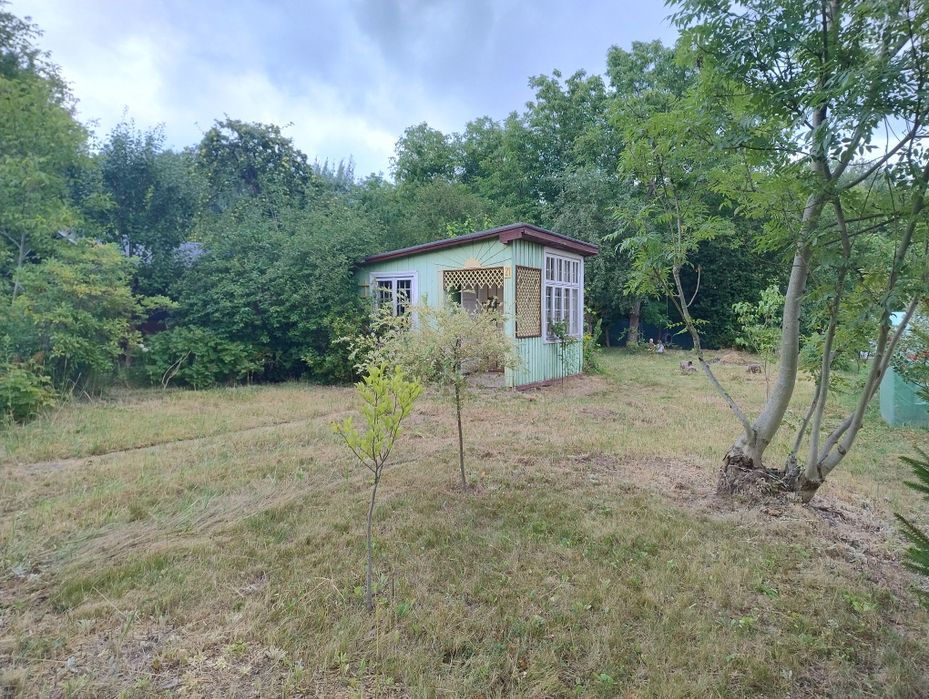 Działka w ROD im Szafera, Staromiescie - Widok 2