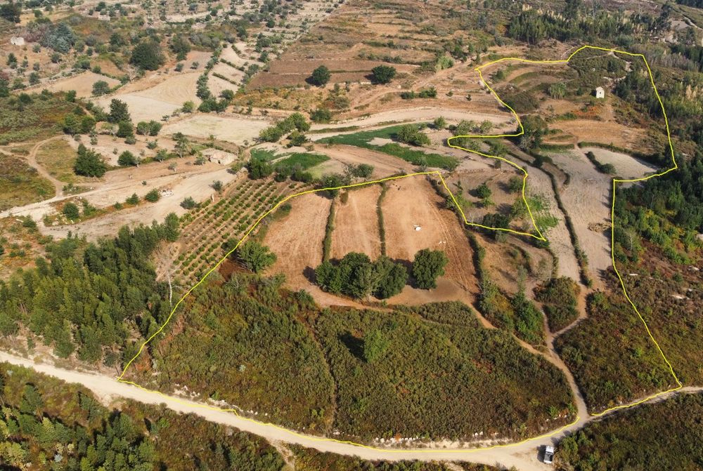 Quinta composta por terreno de cultivo e pinhal