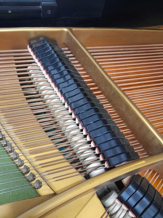 Bechstein L  piano de cauda como novo impecável