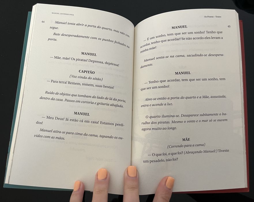 Os piratas - livro