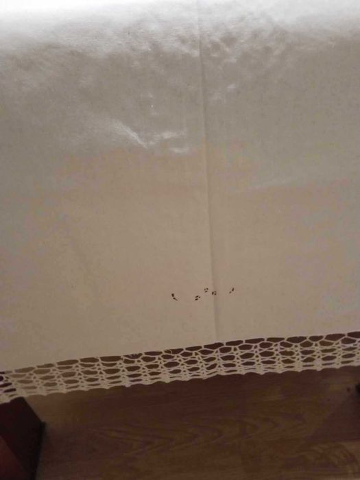 toalha de mesa 100% algodão