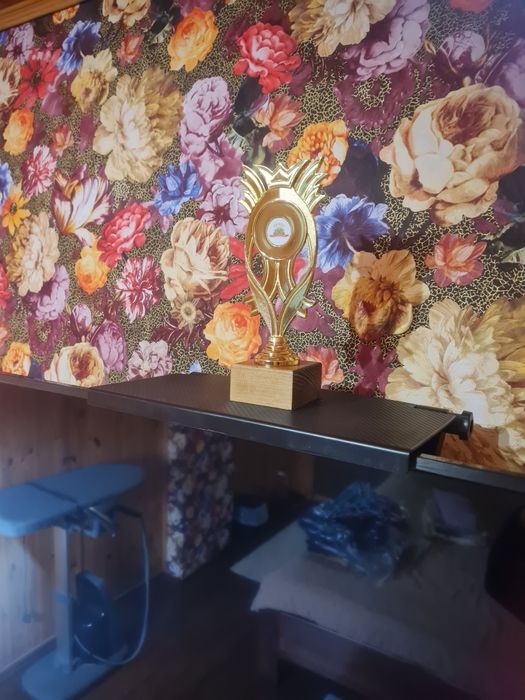 Регульована полиця для телевізора