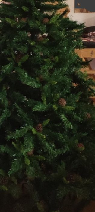 Árvore de Natal com pinhas fixas