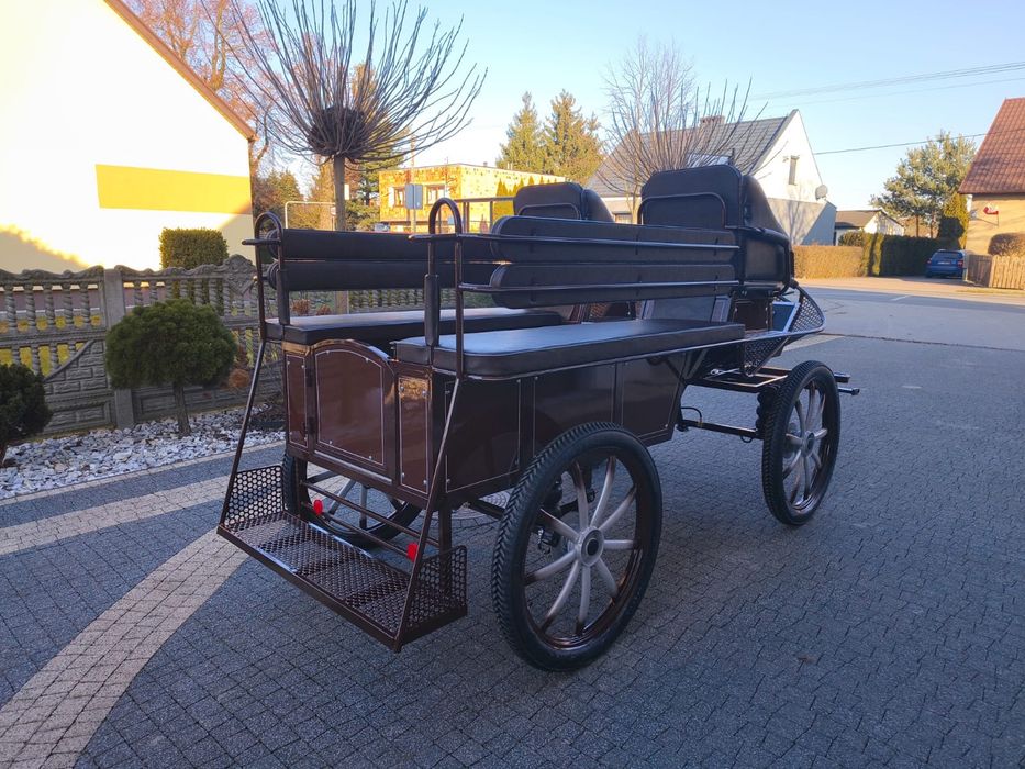 Bryczka konna treningowa powóz wagonetka