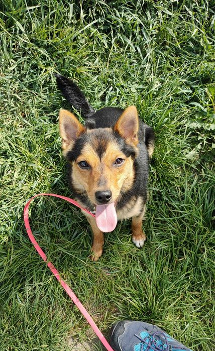 Flisak poleca się do adopcji :)