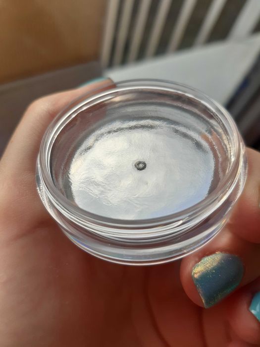 Anastasia Beverly Hills Brow Freeze 8 G