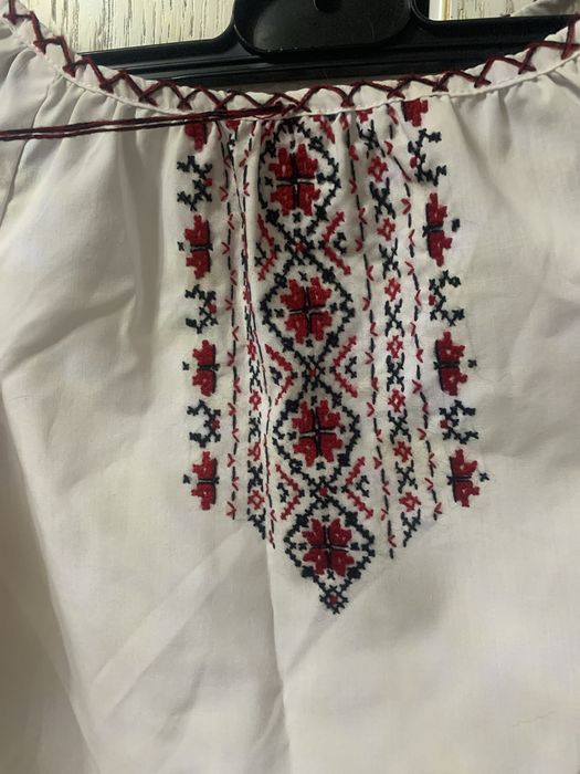 Сорочка вишиванка і спідниця