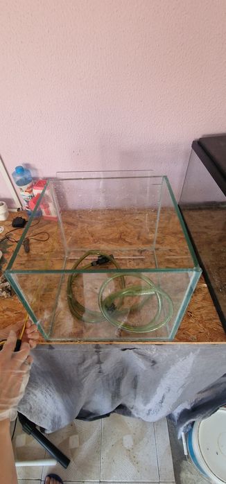 Aquario de criação