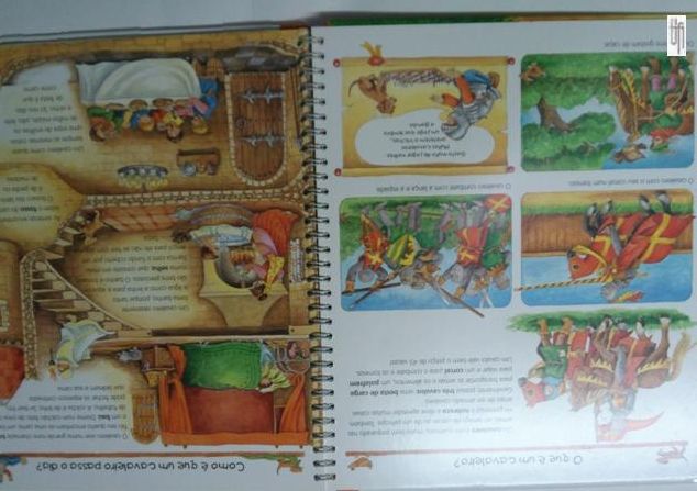 Os Castelos. Onde? Como? Porquê?