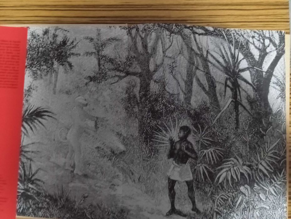 Corazón de África