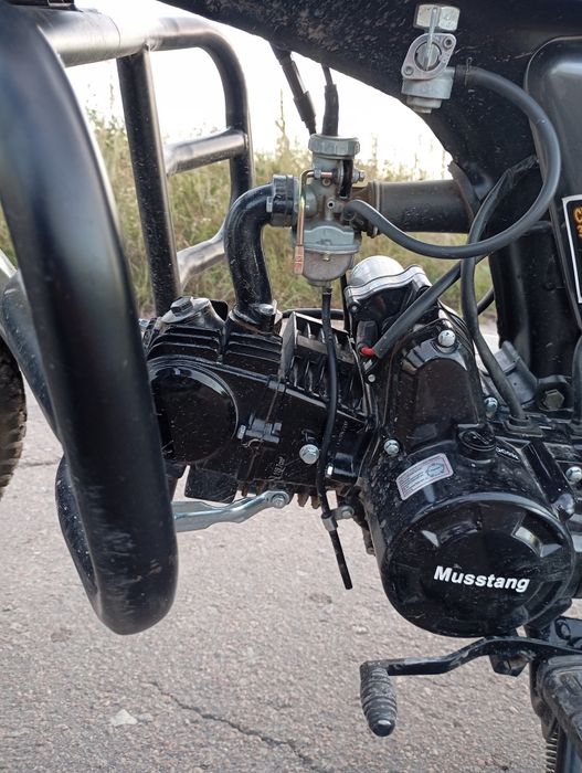Musstang Alfa MT125-2