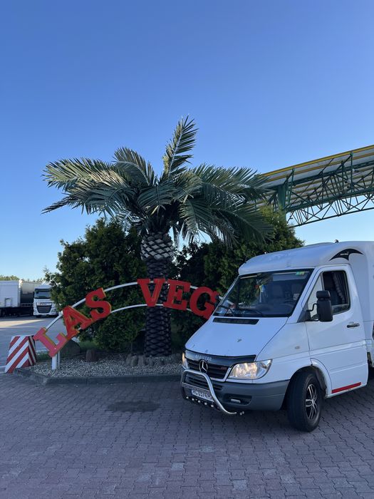 Продам Автовоз Sprinter 313CDI
