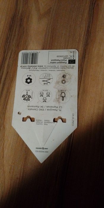 Clematis Paul Farges