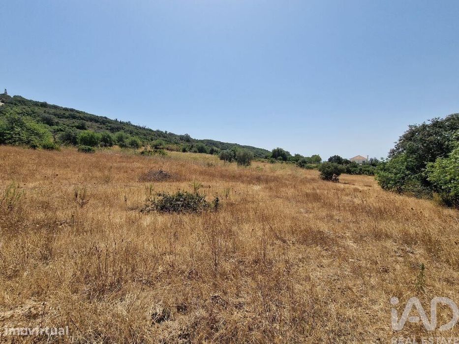 Terreno Agrícola em Santa Bárbara de Nexe