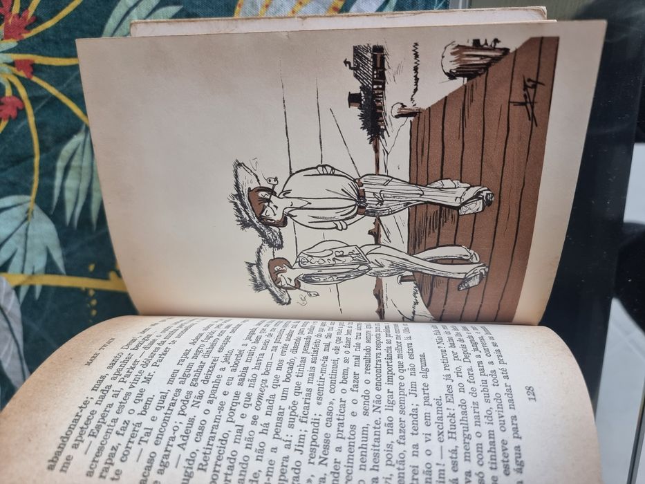 Livros vários em português