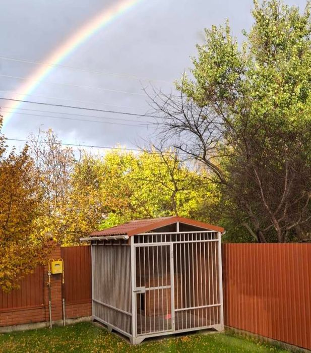 Вольєр для великої собаки