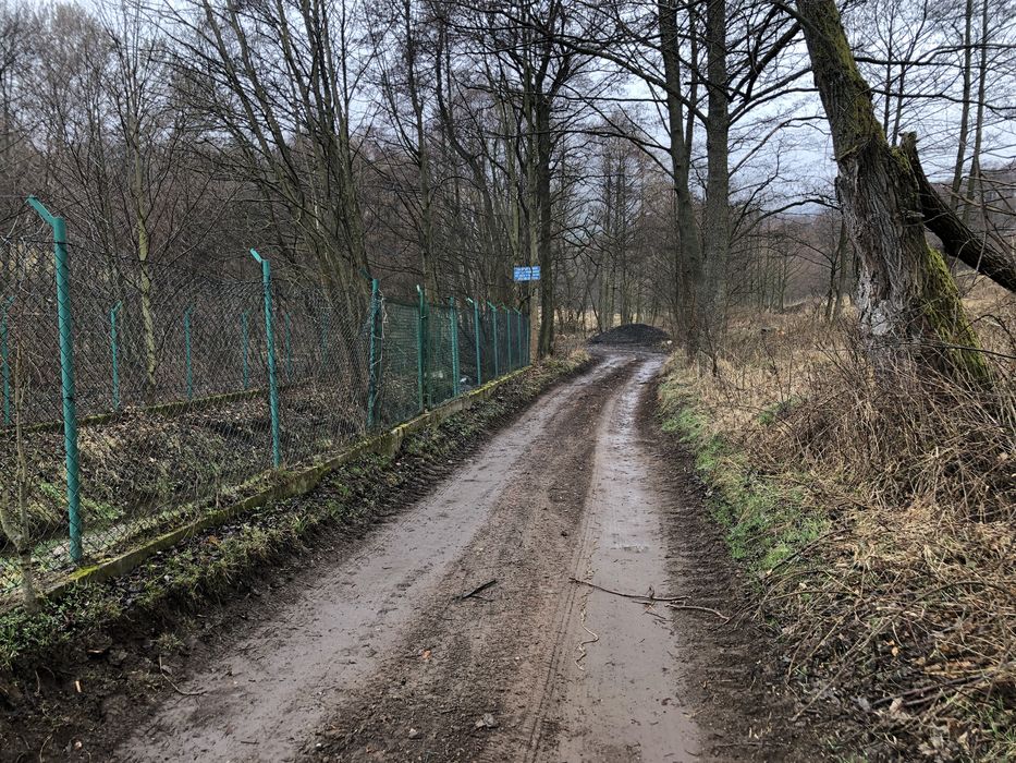 Działka budowlana Kamionki gmina Pieszyce, piękna i spokojna okolica, natura 2000 - Widok 5