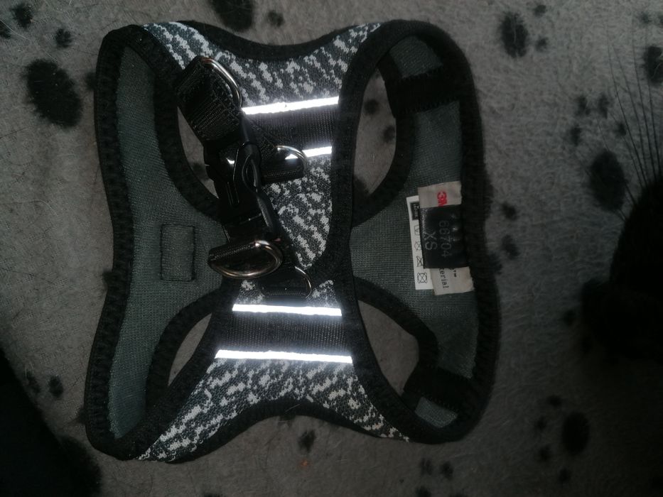 Szelki dla psa Hunter XS