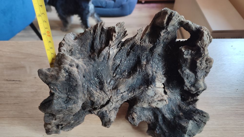 Korzenie do akwarium.