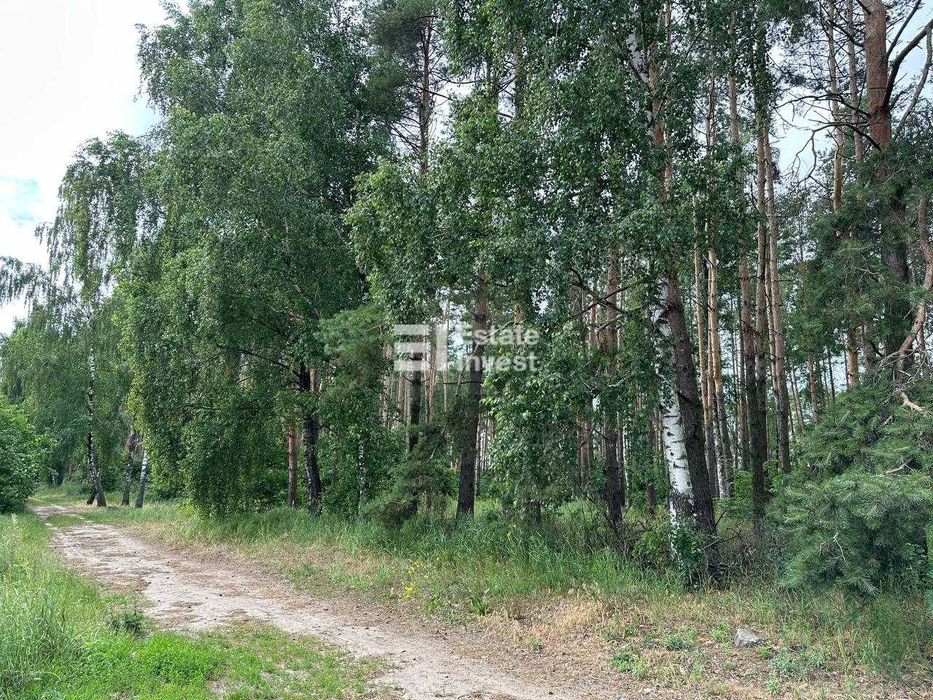 Продаж двоповерхового будинку 200 м² на доглянутій ділянці 12 соток, село Лютіж