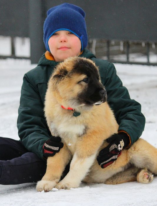 Дівчинка - кавказюка.