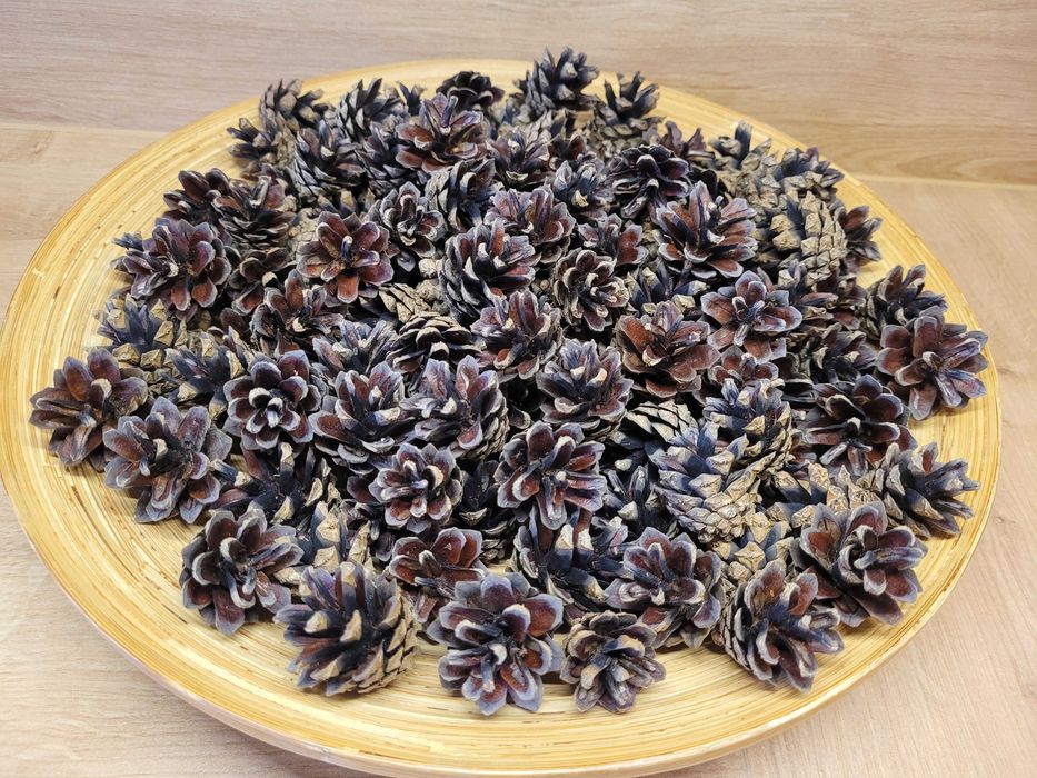 szyszki żołędzie do stroików wieńców ozdoby