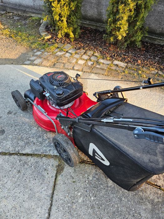 Kosiarka spalinowa Performance Power (castorama)