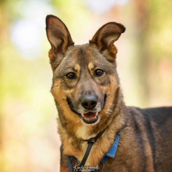 Od 4 lat Kirze nikt nie dał szansy...