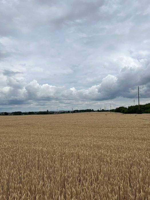 Продаж ділянки під комерцію в Здолбунові